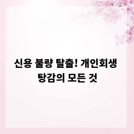 신용 불량 탈출! 개인회생 탕감의 모든 것