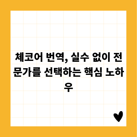 체코어 번역, 실수 없이 전문가를 선택하는 핵심 노하우