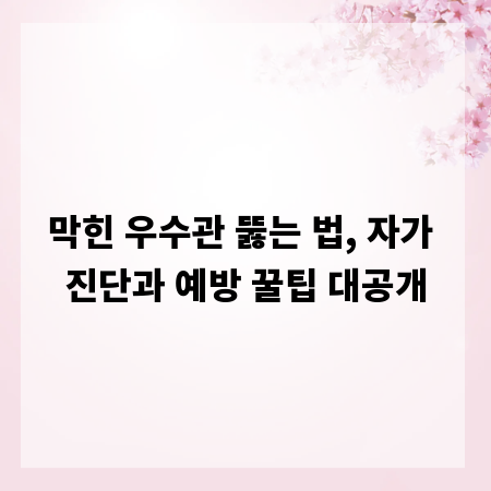 막힌 우수관 뚫는 법, 자가 진단과 예방 꿀팁 대공개