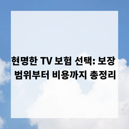 현명한 TV 보험 선택: 보장 범위부터 비용까지 총정리