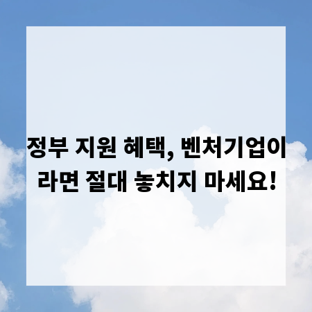 정부 지원 혜택, 벤처기업이라면 절대 놓치지 마세요!