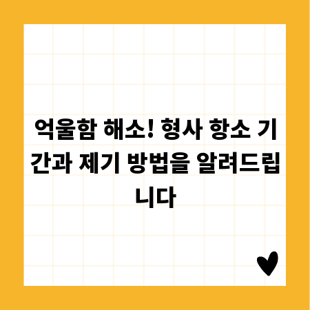전국 피자 맛집 총정리: 오늘 뭐 먹지? 고민 끝!