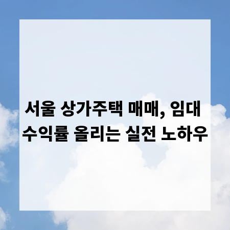 서울 상가주택 매매, 임대 수익률 올리는 실전 노하우