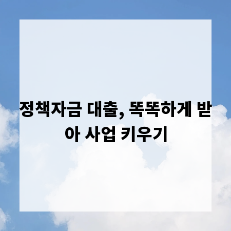 정책자금 대출, 똑똑하게 받아 사업 키우기