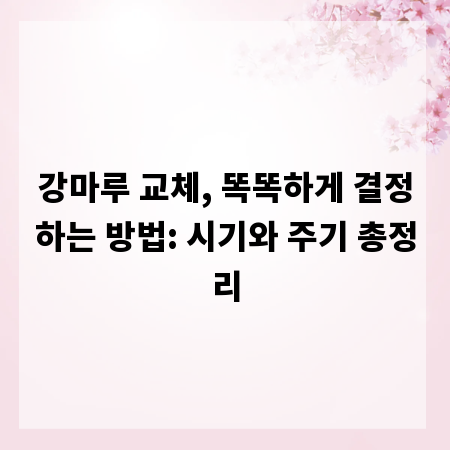 강마루 교체, 똑똑하게 결정하는 방법: 시기와 주기 총정리