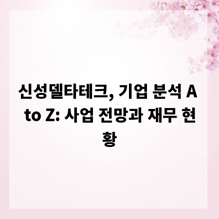 신성델타테크, 기업 분석 A to Z: 사업 전망과 재무 현황