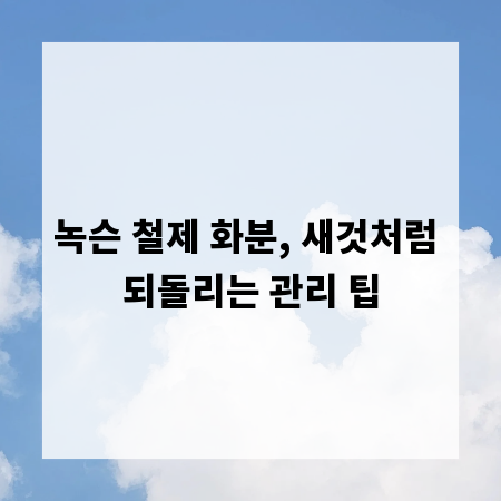 녹슨 철제 화분, 새것처럼 되돌리는 관리 팁