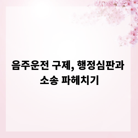 음주운전 구제, 행정심판과 소송 파헤치기