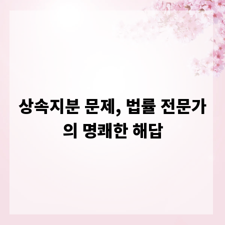 상속지분 문제, 법률 전문가의 명쾌한 해답