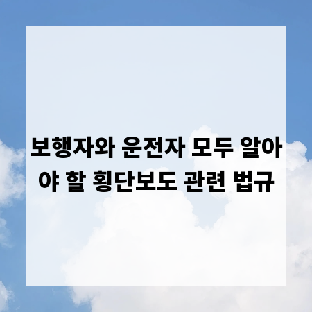 보행자와 운전자 모두 알아야 할 횡단보도 관련 법규