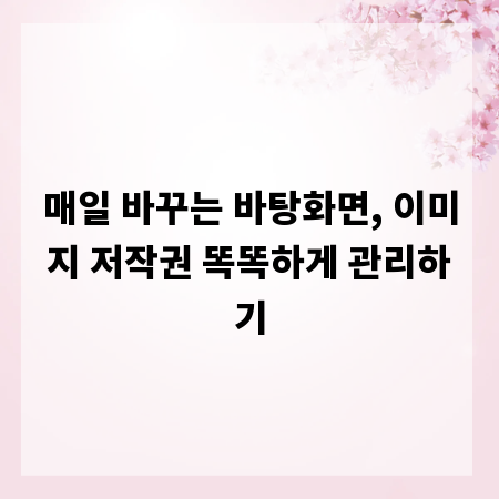 매일 바꾸는 바탕화면, 이미지 저작권 똑똑하게 관리하기