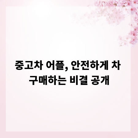 중고차 어플, 안전하게 차 구매하는 비결 공개