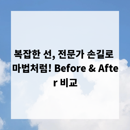 복잡한 선, 전문가 손길로 마법처럼! Before & After 비교