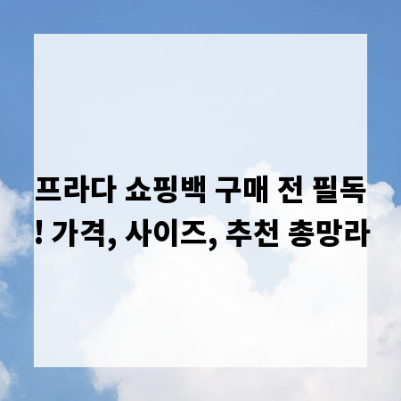 프라다 쇼핑백 구매 전 필독! 가격, 사이즈, 추천 총망라