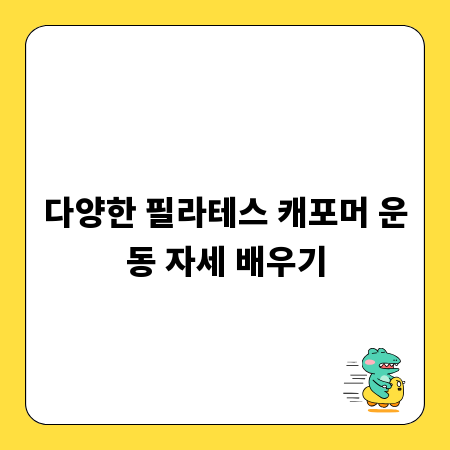 다양한 필라테스 캐포머 운동 자세 배우기
