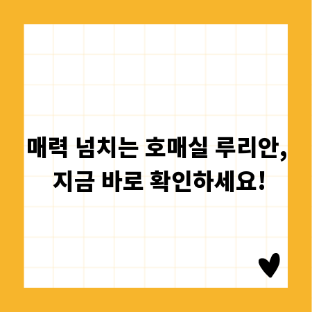 매력 넘치는 호매실 루리안, 지금 바로 확인하세요!