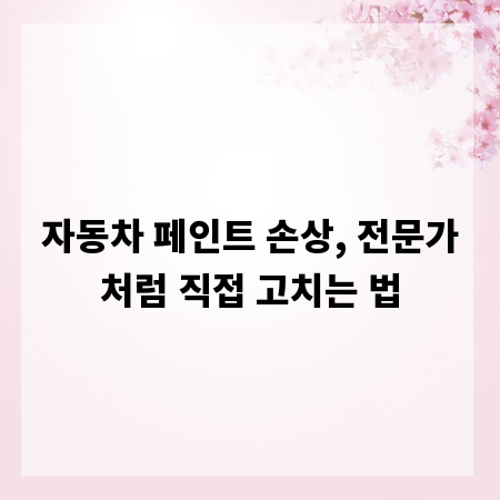 자동차 페인트 손상, 전문가처럼 직접 고치는 법