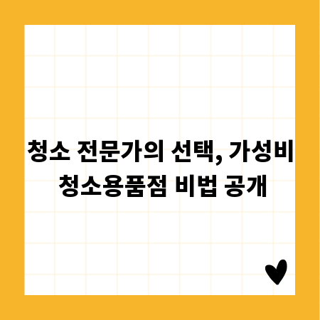 청소 전문가의 선택, 가성비 청소용품점 비법 공개