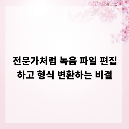 전문가처럼 녹음 파일 편집하고 형식 변환하는 비결