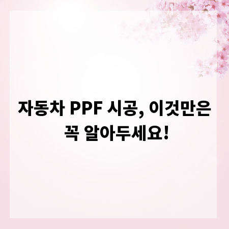 자동차 PPF 시공, 이것만은 꼭 알아두세요!