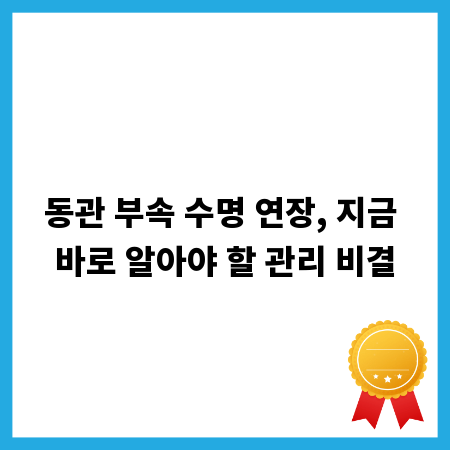 동관 부속 수명 연장, 지금 바로 알아야 할 관리 비결