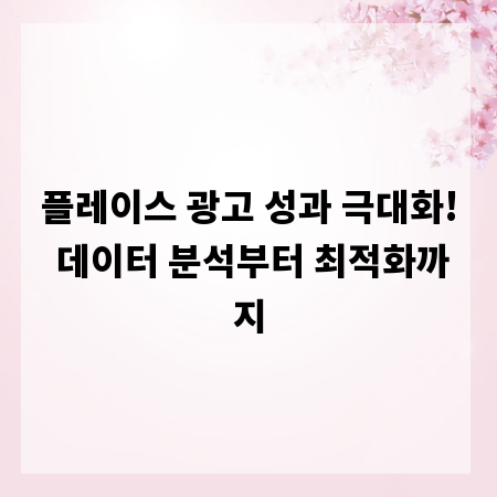 플레이스 광고 성과 극대화! 데이터 분석부터 최적화까지