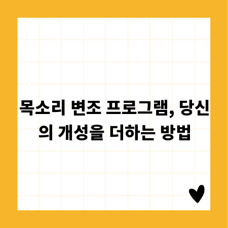 목소리 변조 프로그램, 당신의 개성을 더하는 방법