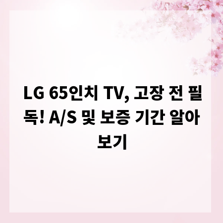 LG 65인치 TV, 고장 전 필독! A/S 및 보증 기간 알아보기