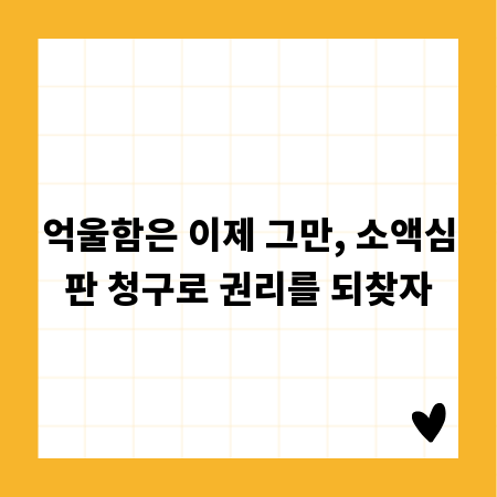 억울함은 이제 그만, 소액심판 청구로 권리를 되찾자