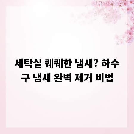 세탁실 퀘퀘한 냄새? 하수구 냄새 완벽 제거 비법