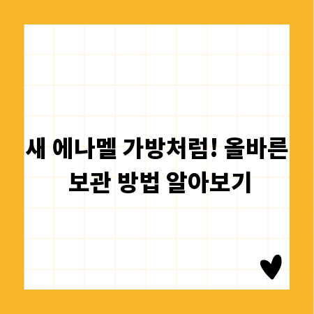 새 에나멜 가방처럼! 올바른 보관 방법 알아보기