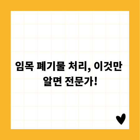 전주 법률 상담: 변호사 선택부터 해결 팁까지