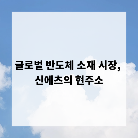 글로벌 반도체 소재 시장, 신에츠의 현주소