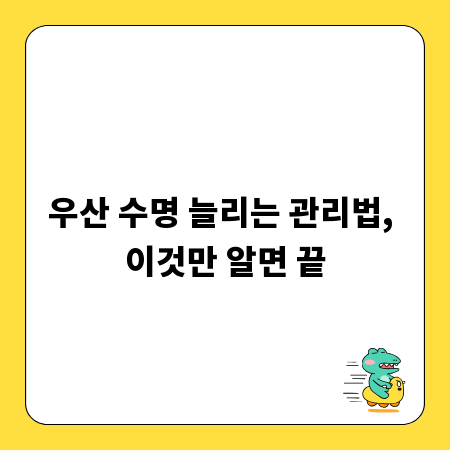 우산 수명 늘리는 관리법, 이것만 알면 끝