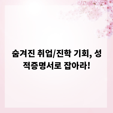 숨겨진 취업/진학 기회, 성적증명서로 잡아라!