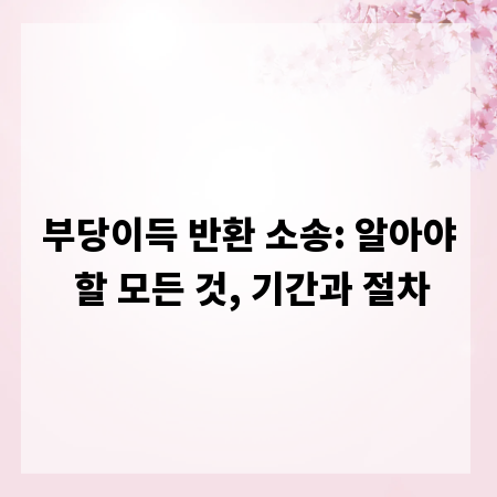 부당이득 반환 소송: 알아야 할 모든 것, 기간과 절차