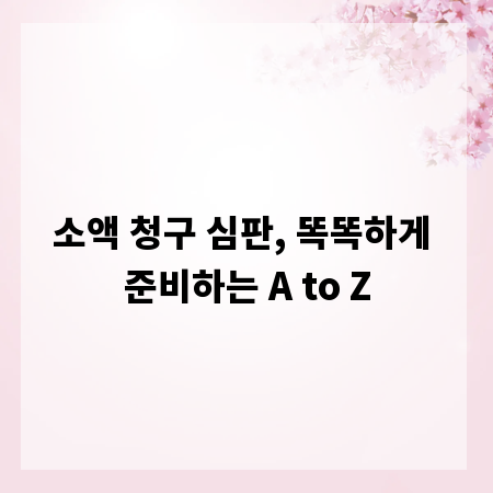 소액 청구 심판, 똑똑하게 준비하는 A to Z