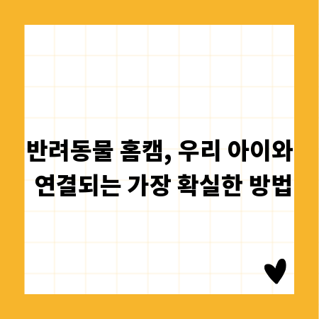 이베리코 삼겹살 보관법: 최상의 맛을 유지하는 비결