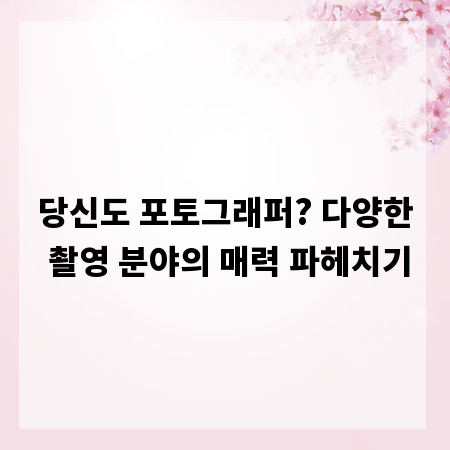 당신도 포토그래퍼? 다양한 촬영 분야의 매력 파헤치기