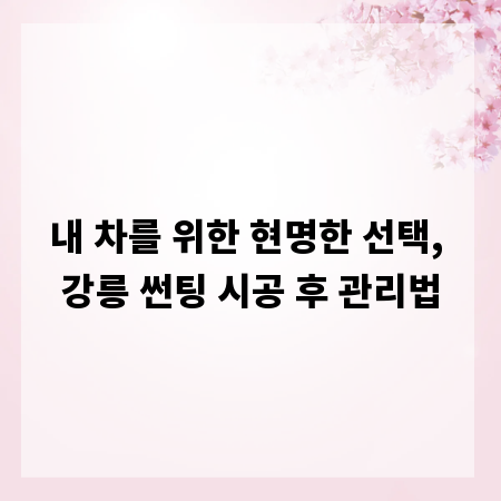내 차를 위한 현명한 선택, 강릉 썬팅 시공 후 관리법