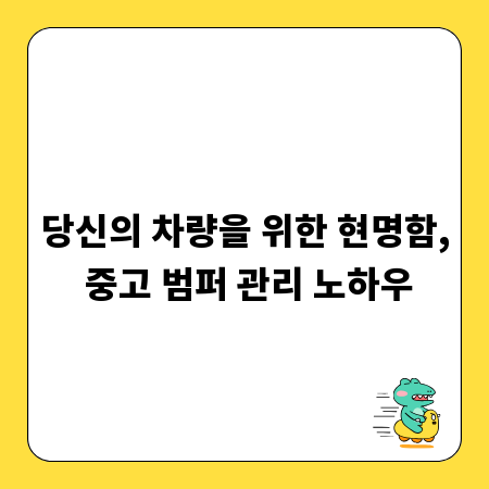 당신의 차량을 위한 현명함, 중고 범퍼 관리 노하우