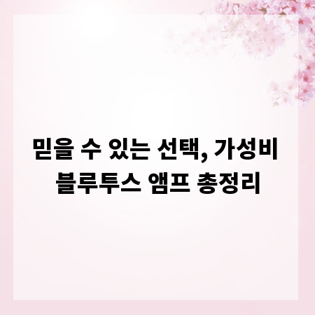 믿을 수 있는 선택, 가성비 블루투스 앰프 총정리