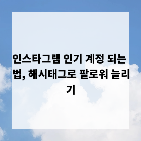 인스타그램 인기 계정 되는 법, 해시태그로 팔로워 늘리기