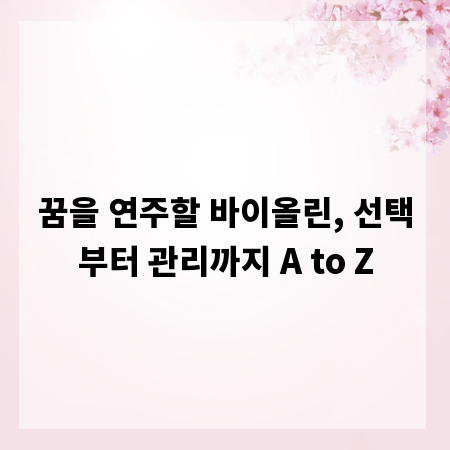 꿈을 연주할 바이올린, 선택부터 관리까지 A to Z