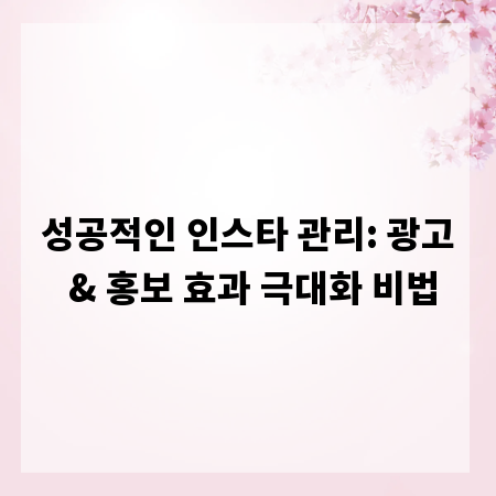 성공적인 인스타 관리: 광고 & 홍보 효과 극대화 비법