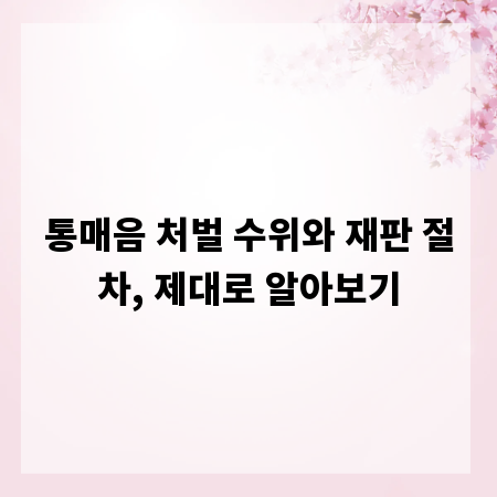통매음 처벌 수위와 재판 절차, 제대로 알아보기