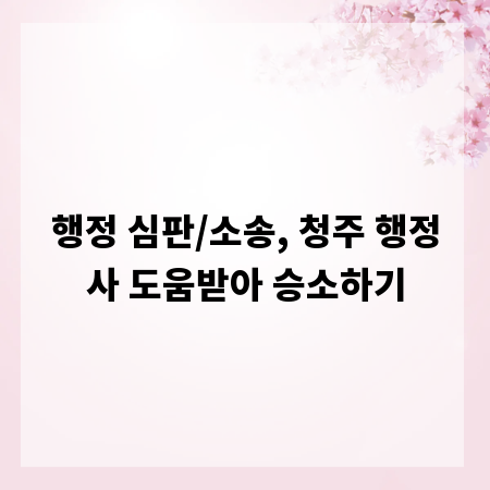 행정 심판/소송, 청주 행정사 도움받아 승소하기