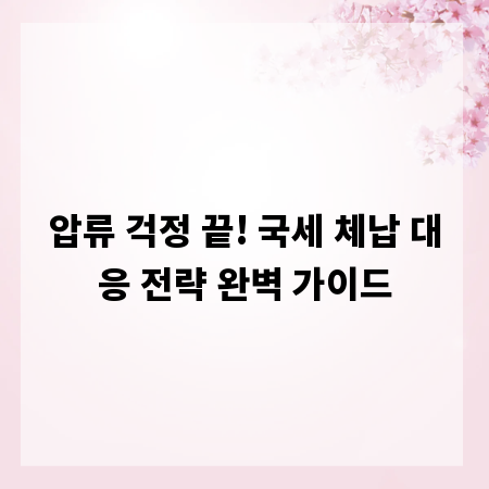 압류 걱정 끝! 국세 체납 대응 전략 완벽 가이드