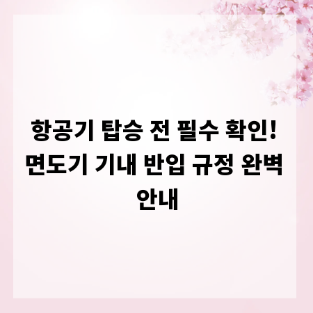 항공기 탑승 전 필수 확인! 면도기 기내 반입 규정 완벽 안내