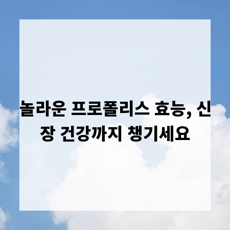 놀라운 프로폴리스 효능, 신장 건강까지 챙기세요